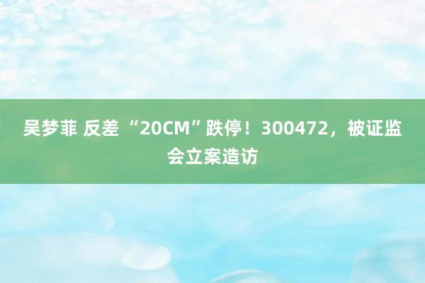 吴梦菲 反差 “20CM”跌停！300472，被证监会立案造访