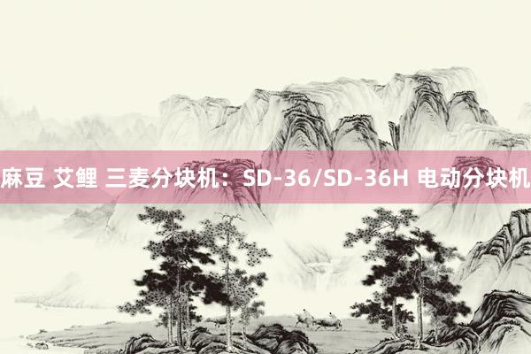 麻豆 艾鲤 三麦分块机：SD-36/SD-36H 电动分块机
